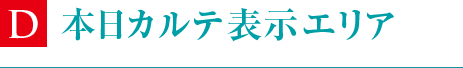 本日カルテ表示エリア